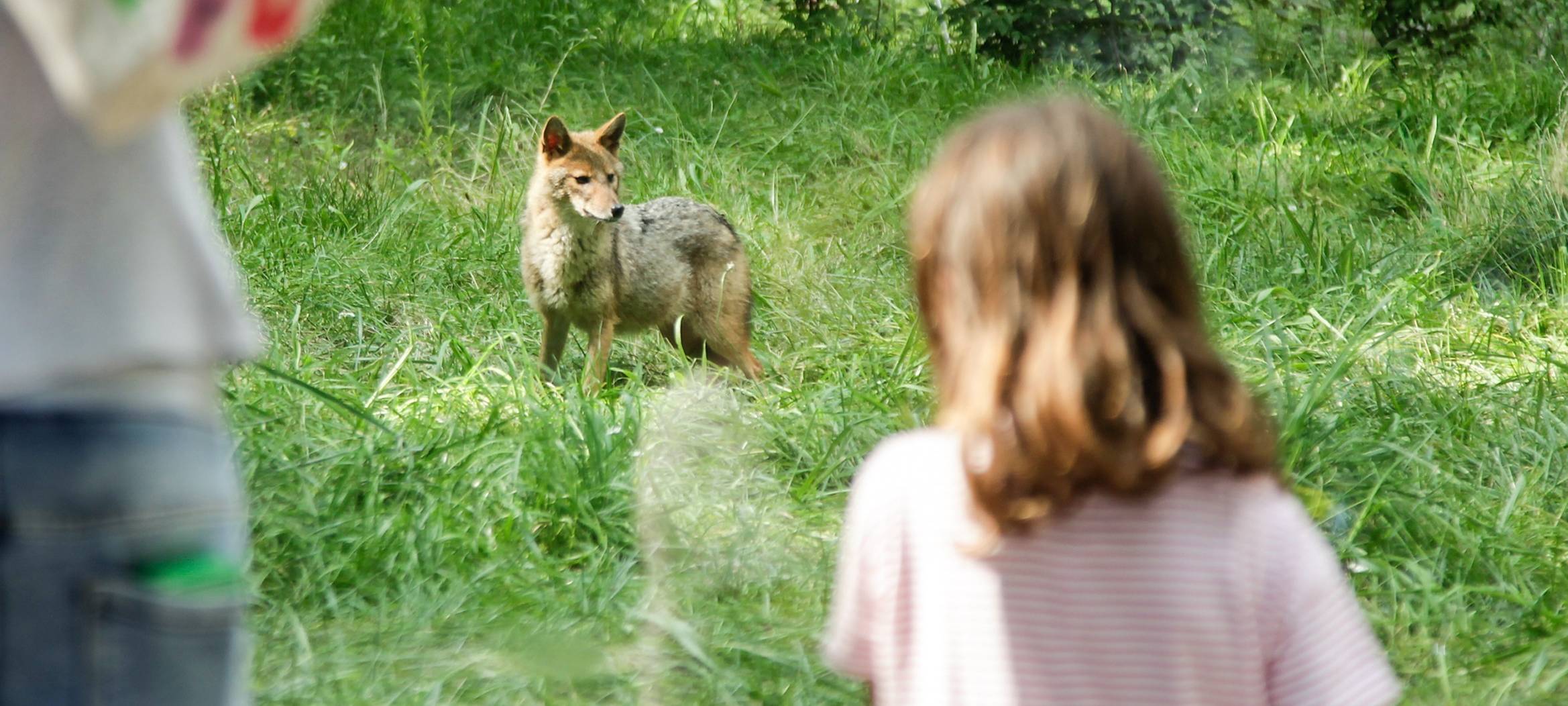 Im Tiergehege vorerst weiter 3G