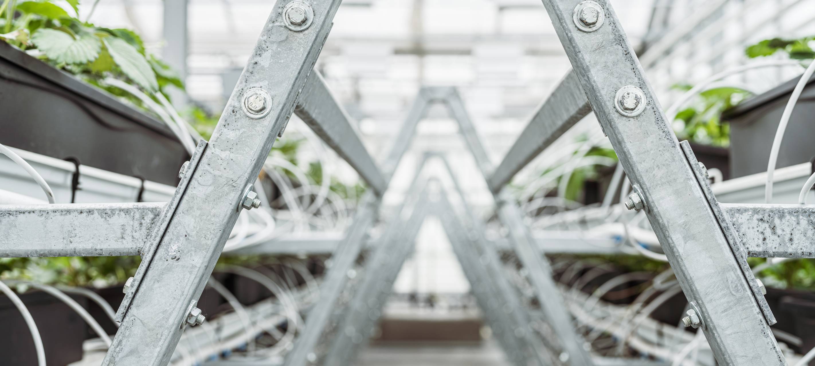 Dachgewächshaus ausgezeichnet