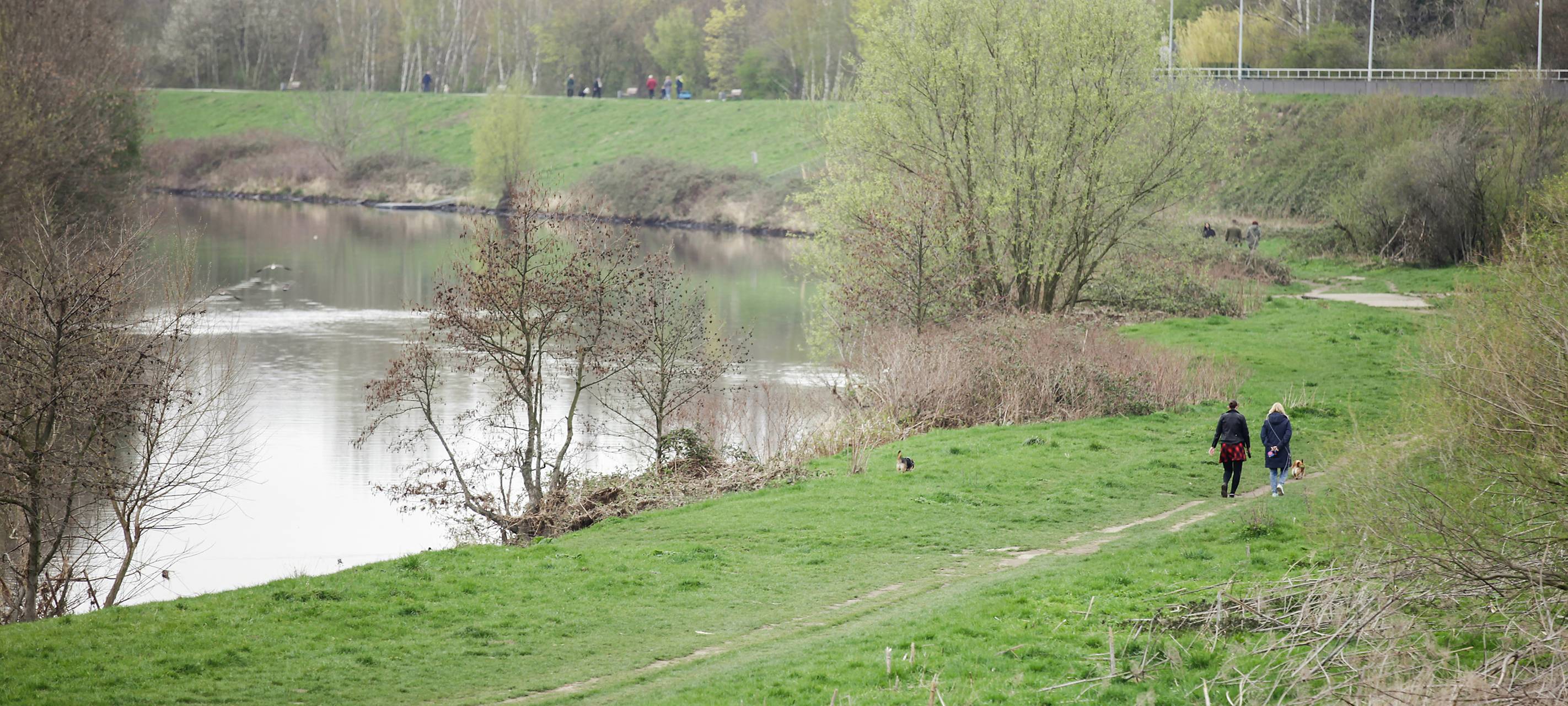 Müllsammel-Aktion am Ruhrufer