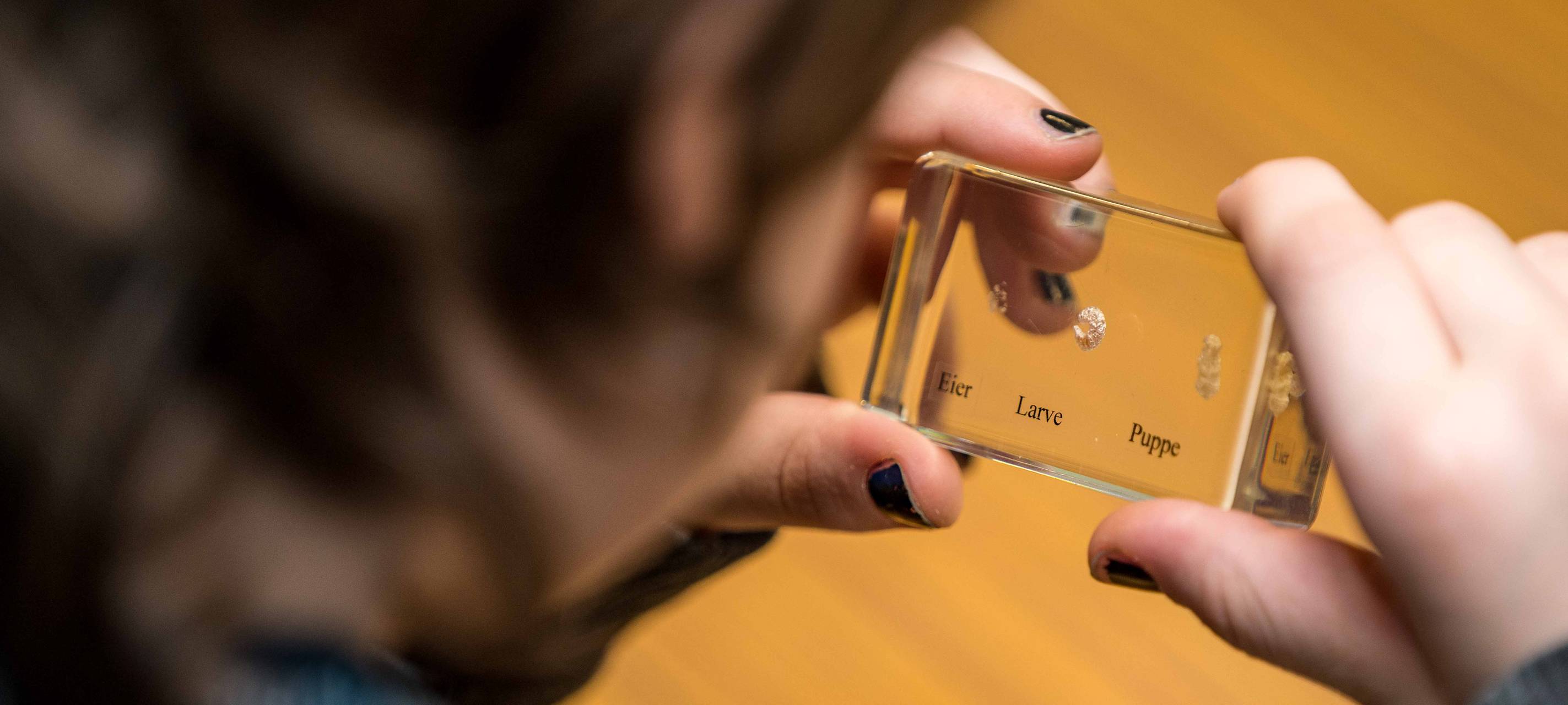 Weitere Junior Uni im Revier