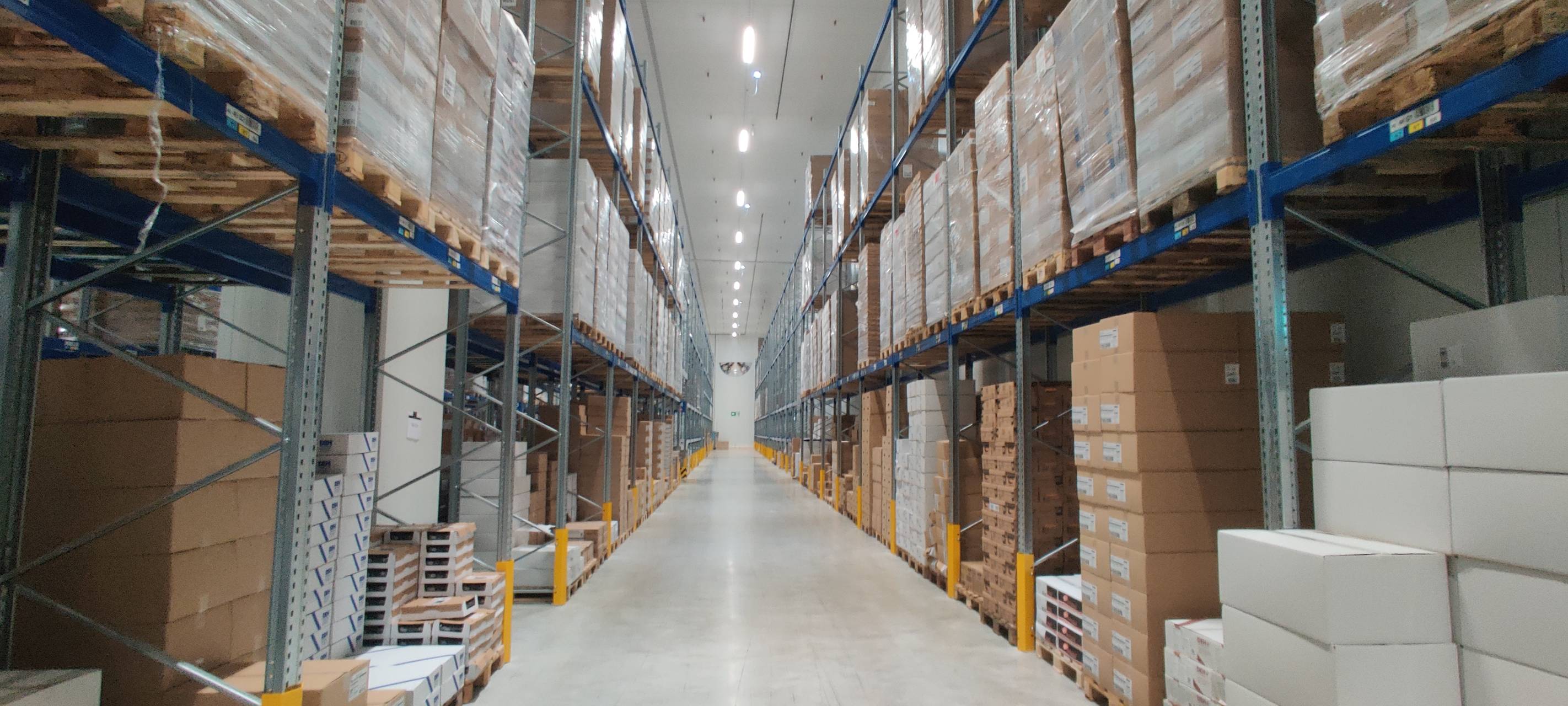 Bewerbertag bei Edeka für angehende Azubis