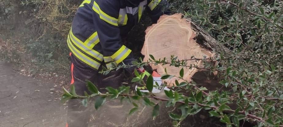 THW unterstützt Führungsstab