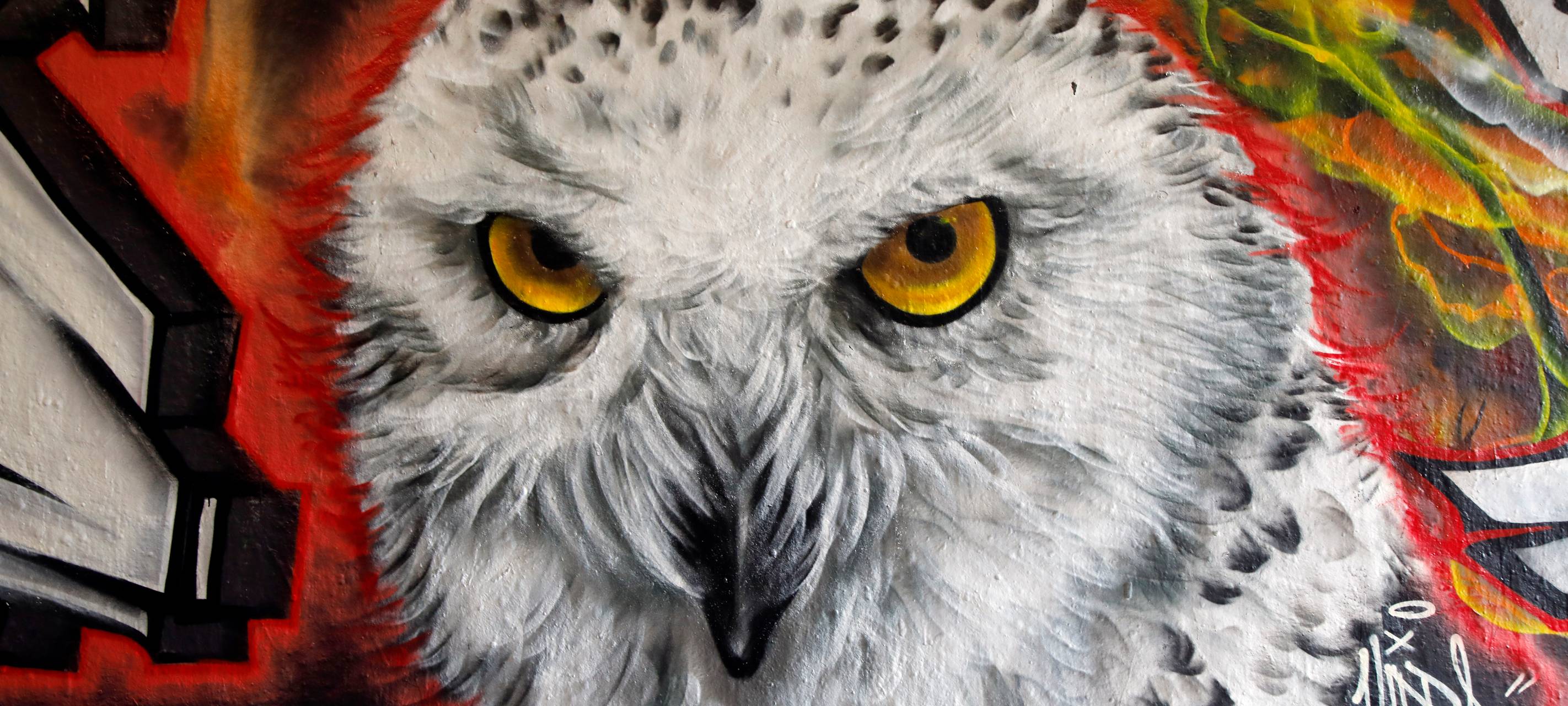 Harry Potter-Kunst im Tunnel