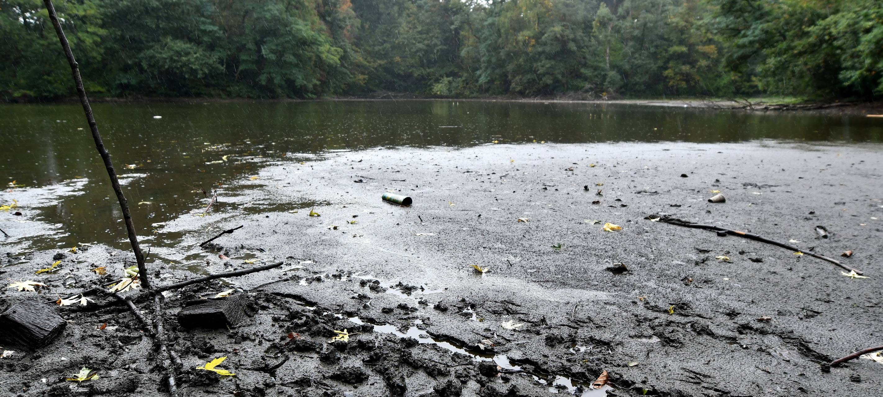 Ökologischer Umbau des Revierparks Vonderort schreitet voran