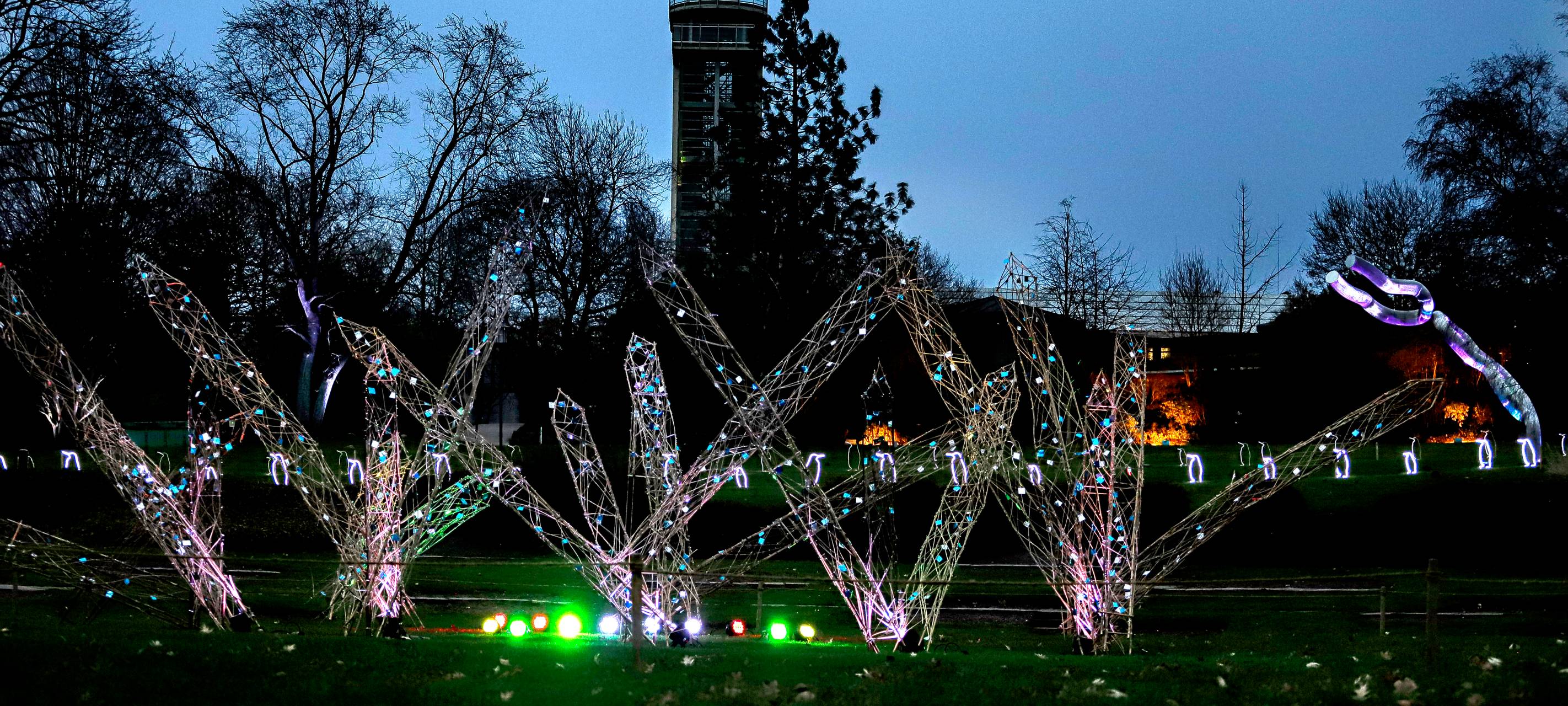 Licht-Spektakel im Revierpark Vonderort