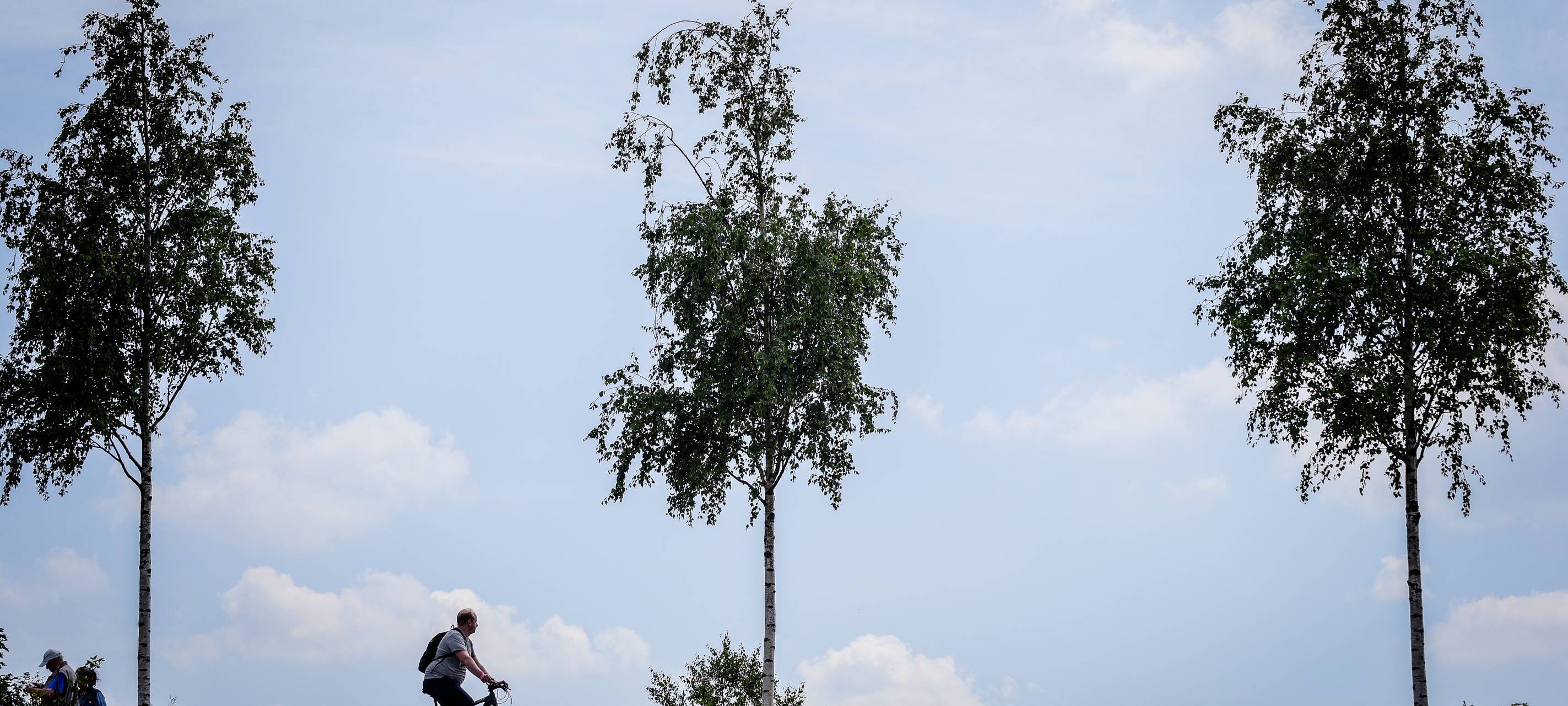 Teilstrecke des RS1 wird überarbeitet