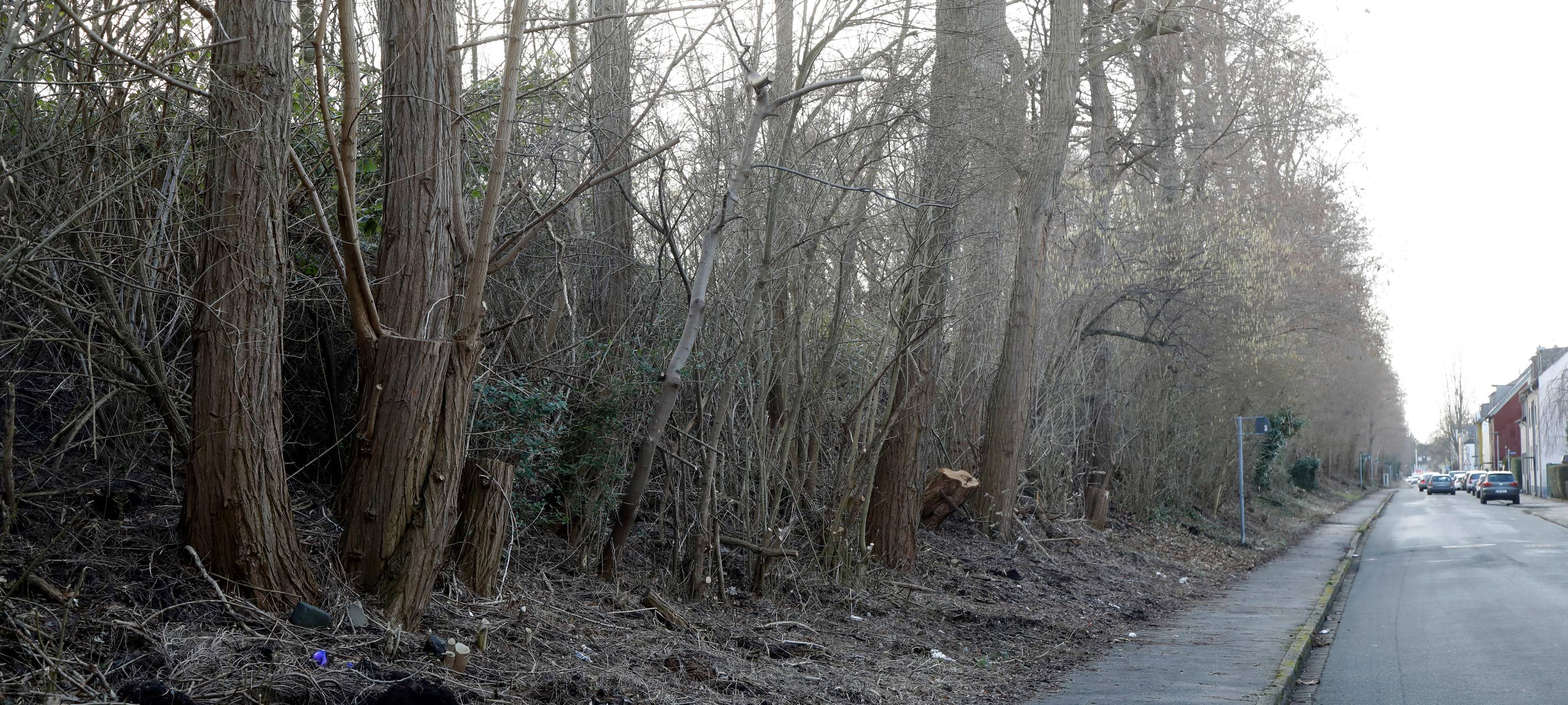Bahn legt Teil des grünen Randstreifens frei