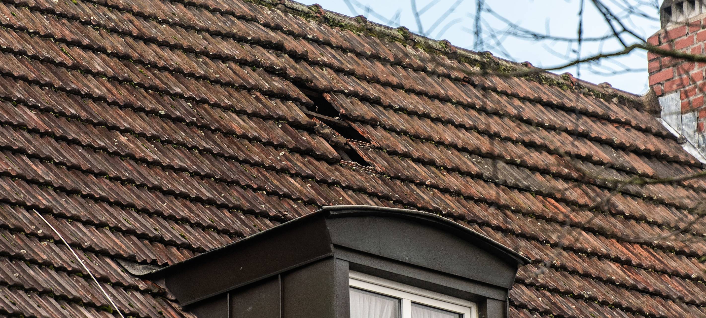 Dach-Haie wollen von Sturm profitieren