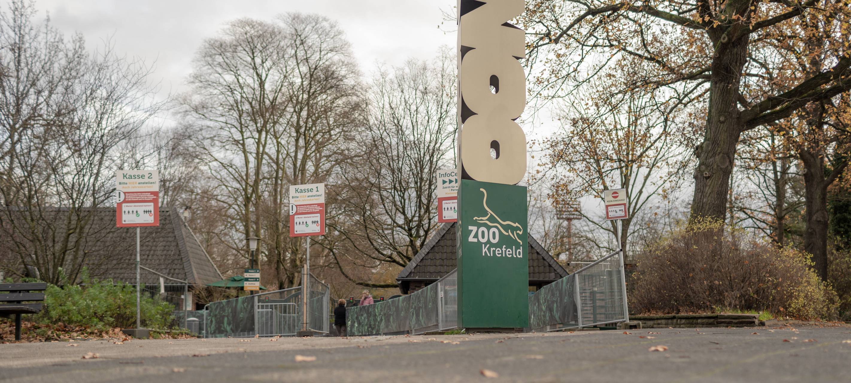 Falsche Bescheinigungen für gestohlene Affen