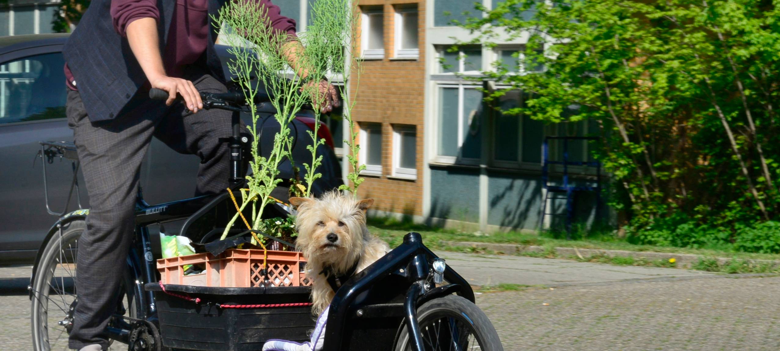 Neues Fördergeld für Lastenräder