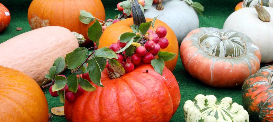 Leckereien aus der Region