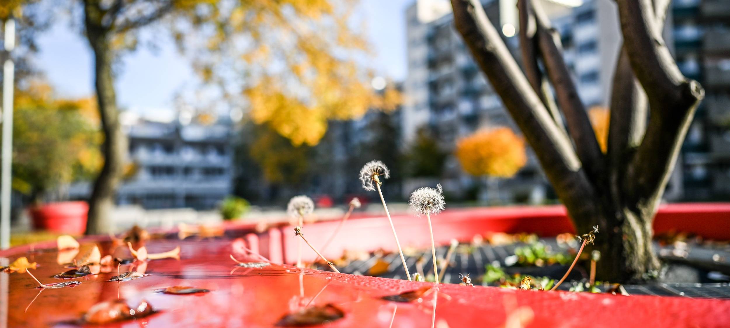 Gebündelte Hilfe in Krisenzeiten