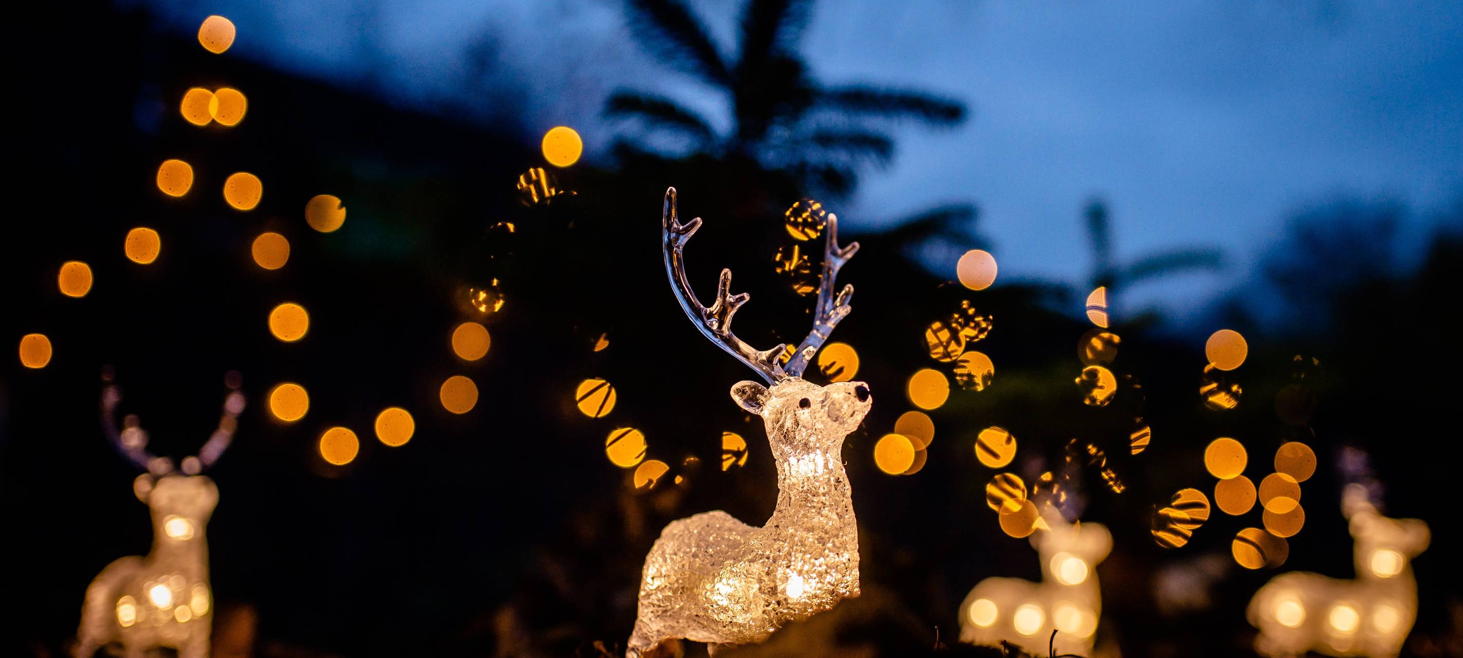 Geschäftsleute setzen auf Weihnachtsbeleuchtung