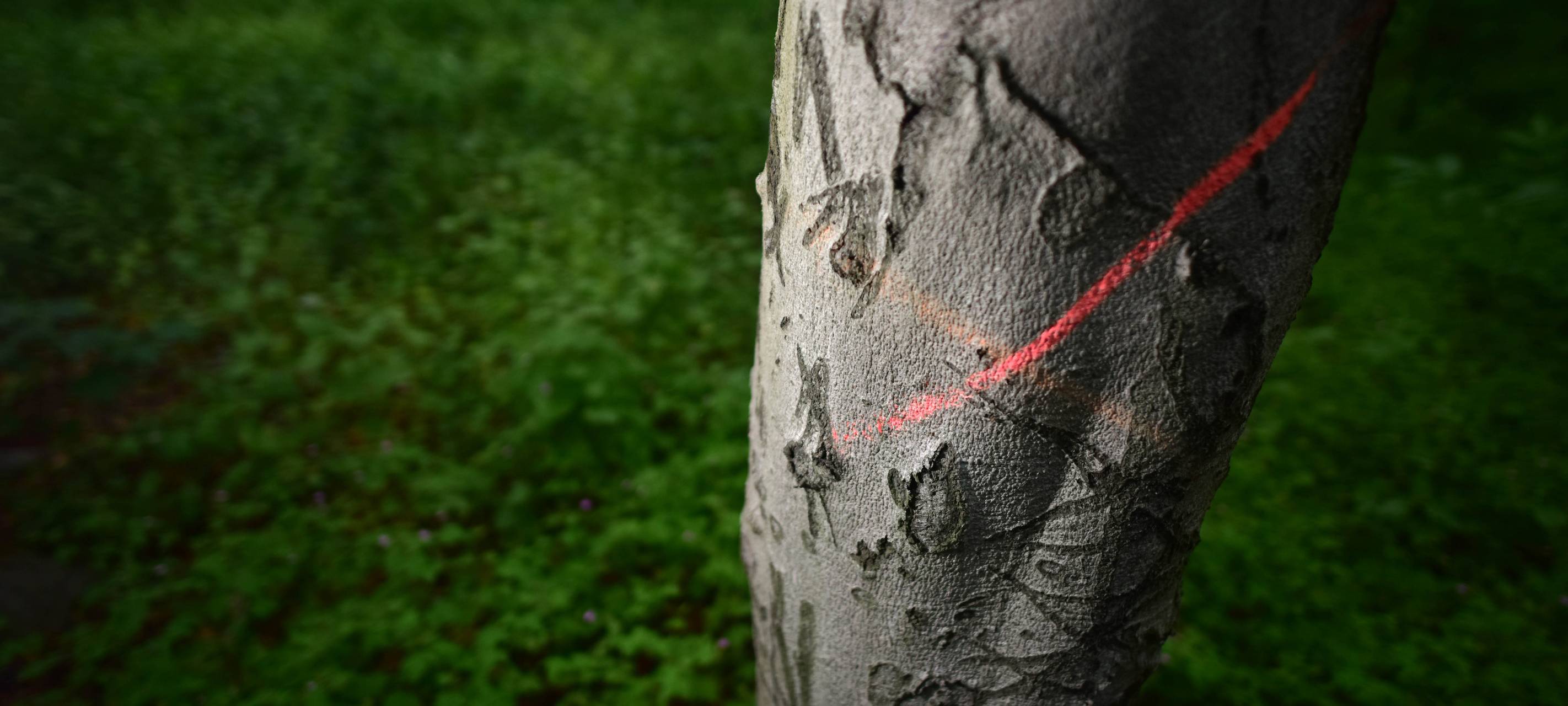 Vorarbeiten für neue Kläranlage starten