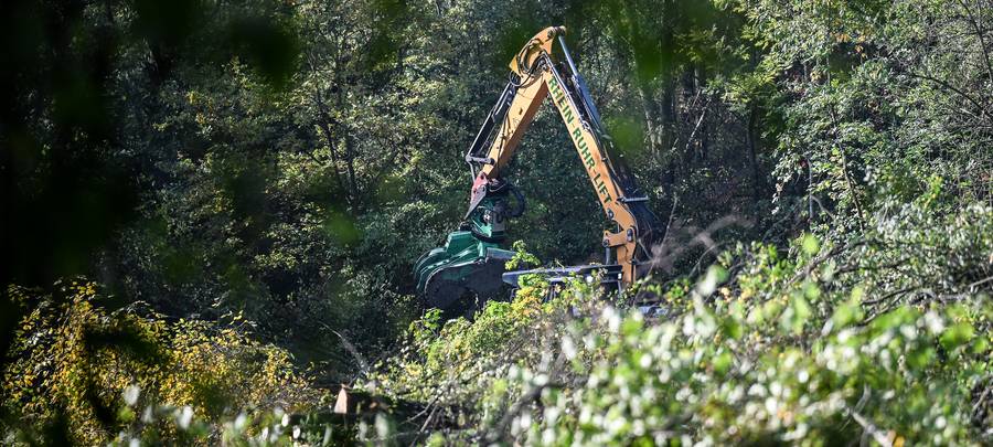 Matsche am Biotop soll schnell beseitigt werden