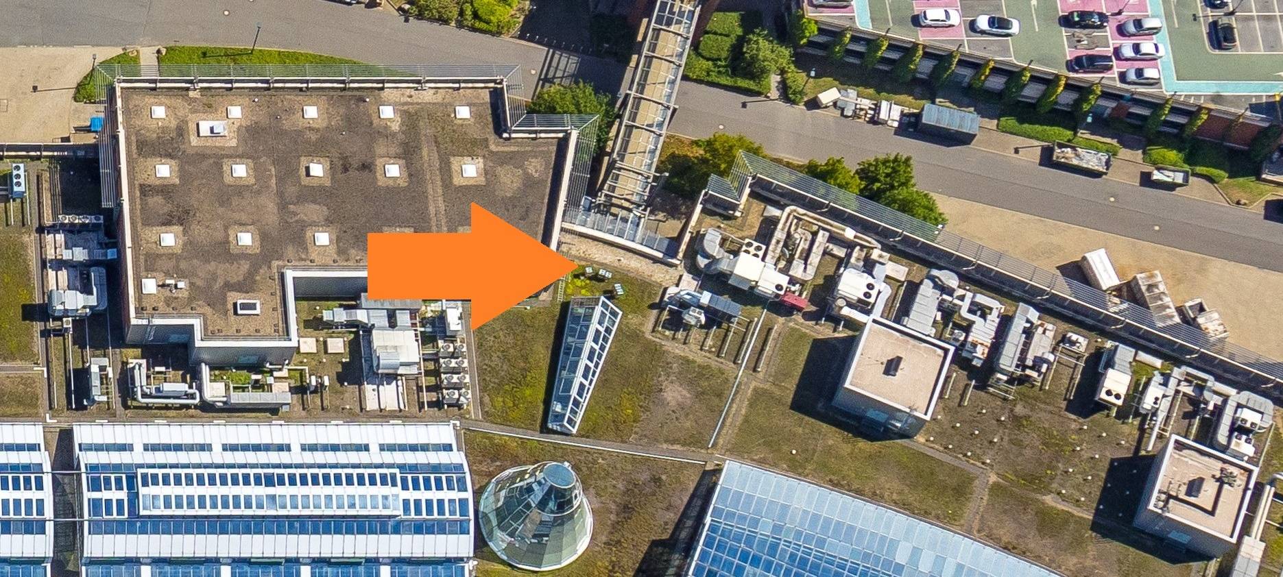 Oberhausener Honig für den guten Zweck