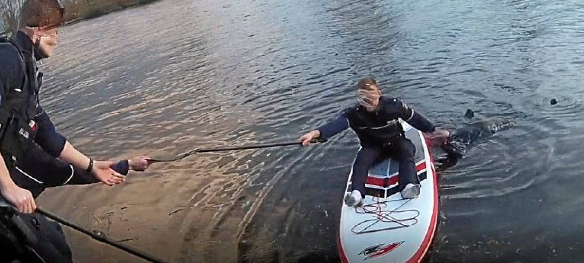 Land ehrt Lebensretter mit Medaille