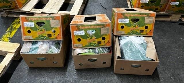 Drogen und gefälschte Produkte beschäftigen Zollfahnder