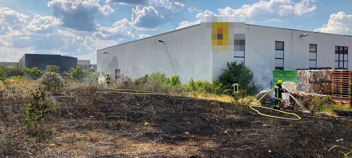 Feuerwehr löscht weiteren Flächenbrand