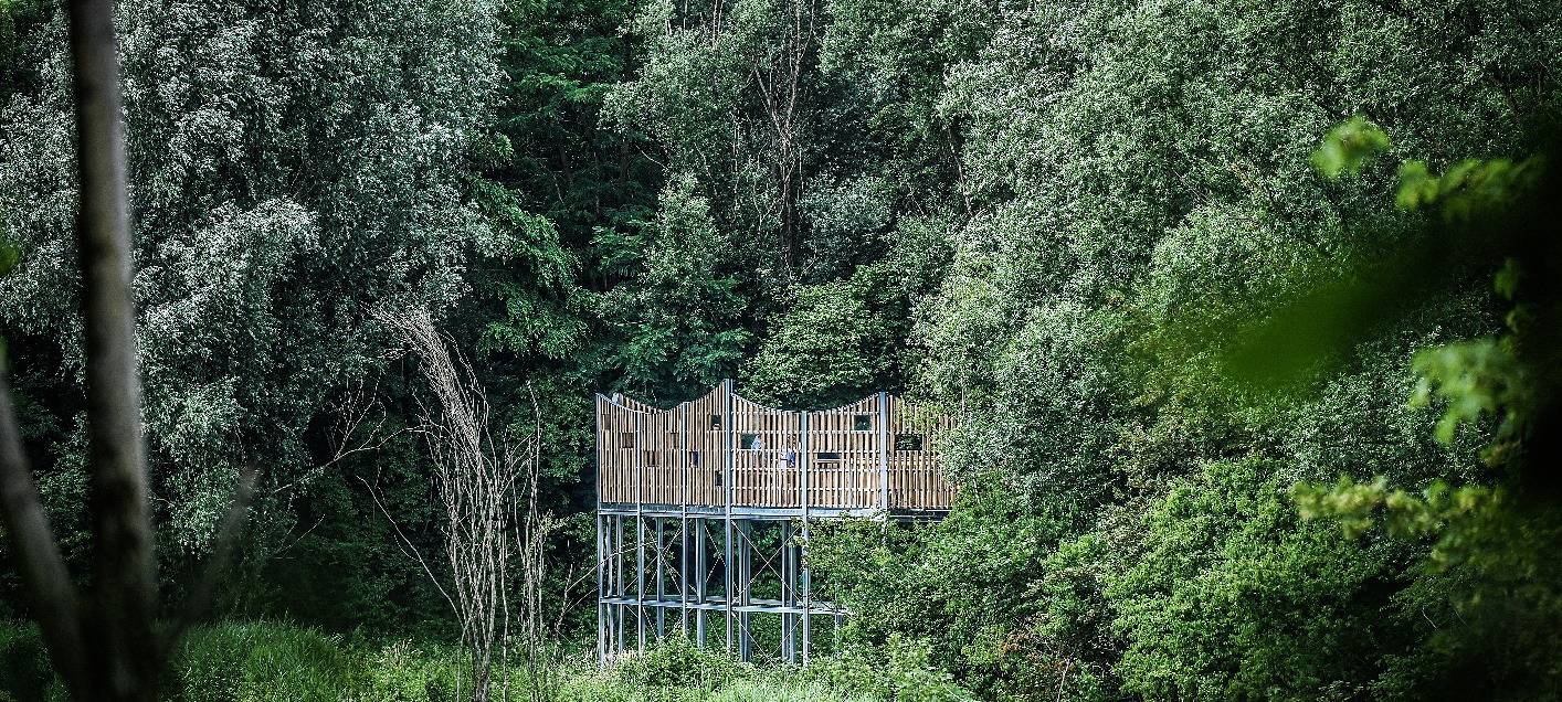 Mehr Vogelarten in Oberhausen heimisch