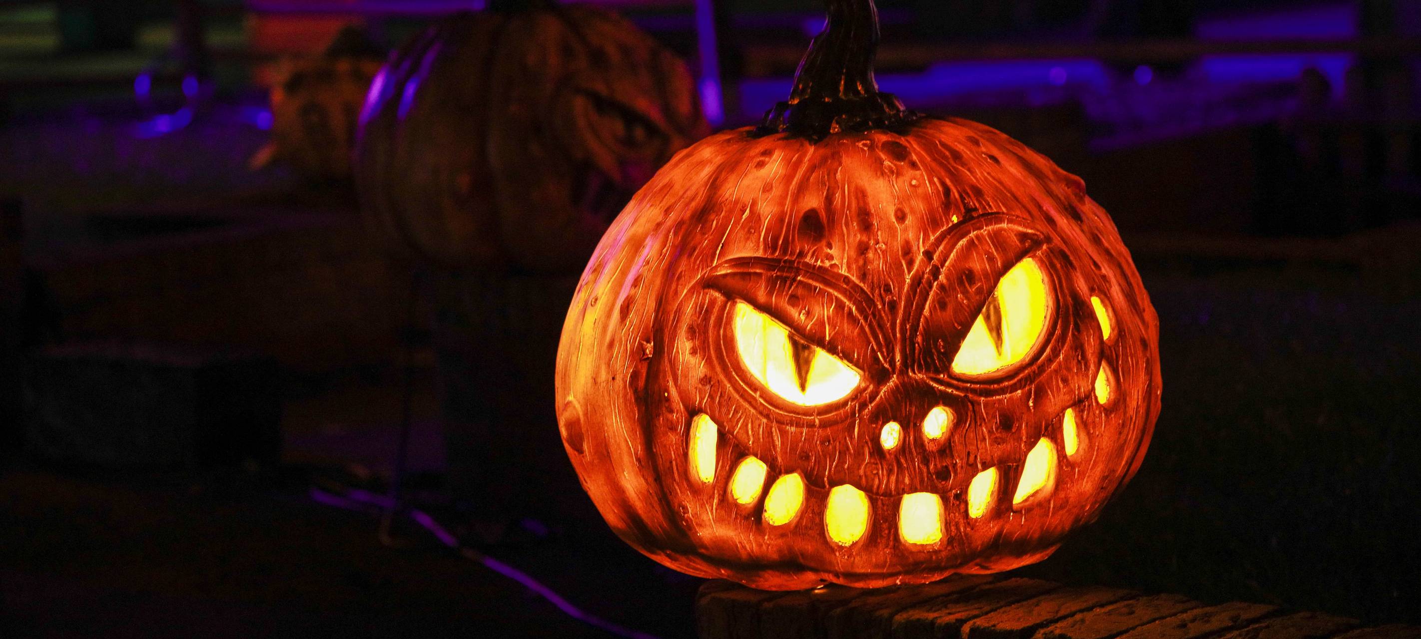 Gewalt bei Halloween Horror Festival