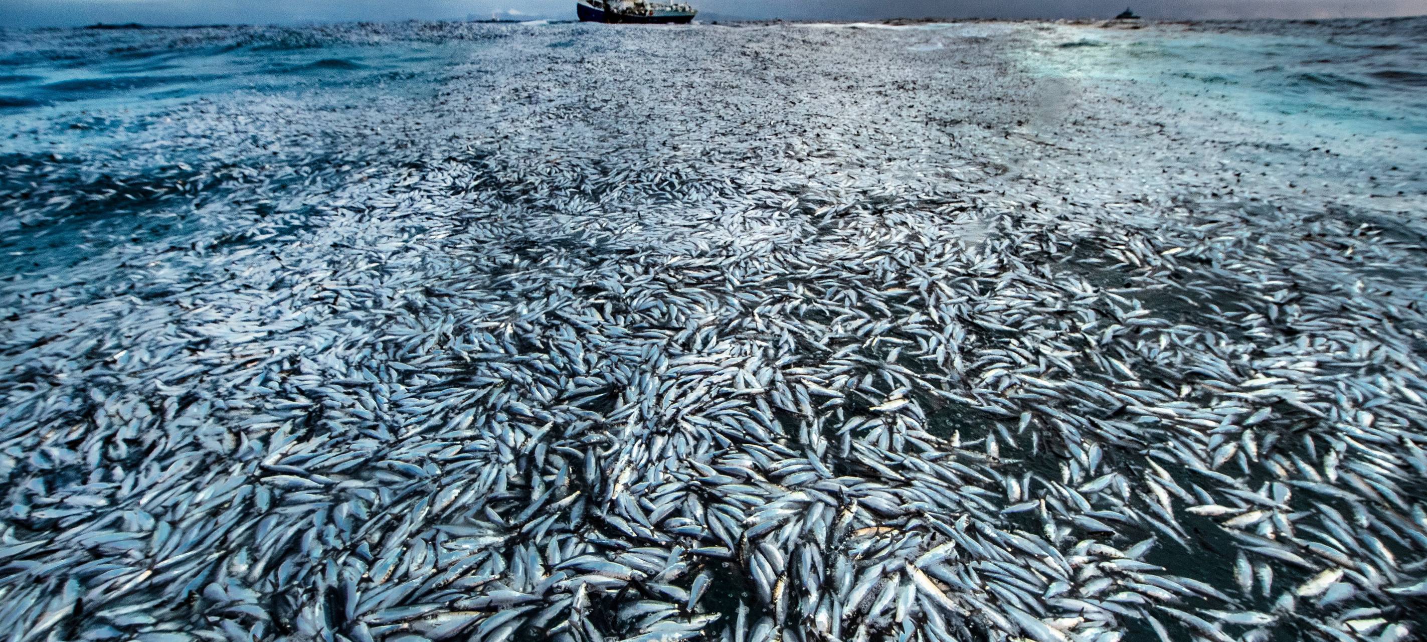 Mitmachtag im Gasometer zum Welttag der Ozeane