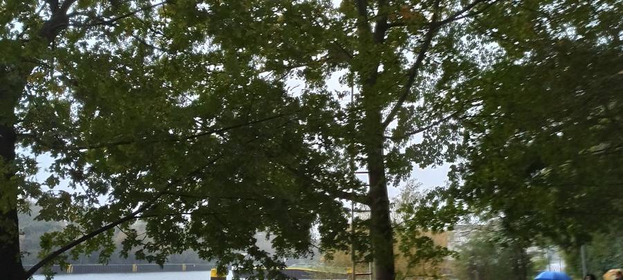 Feuerwehr rettet Katze