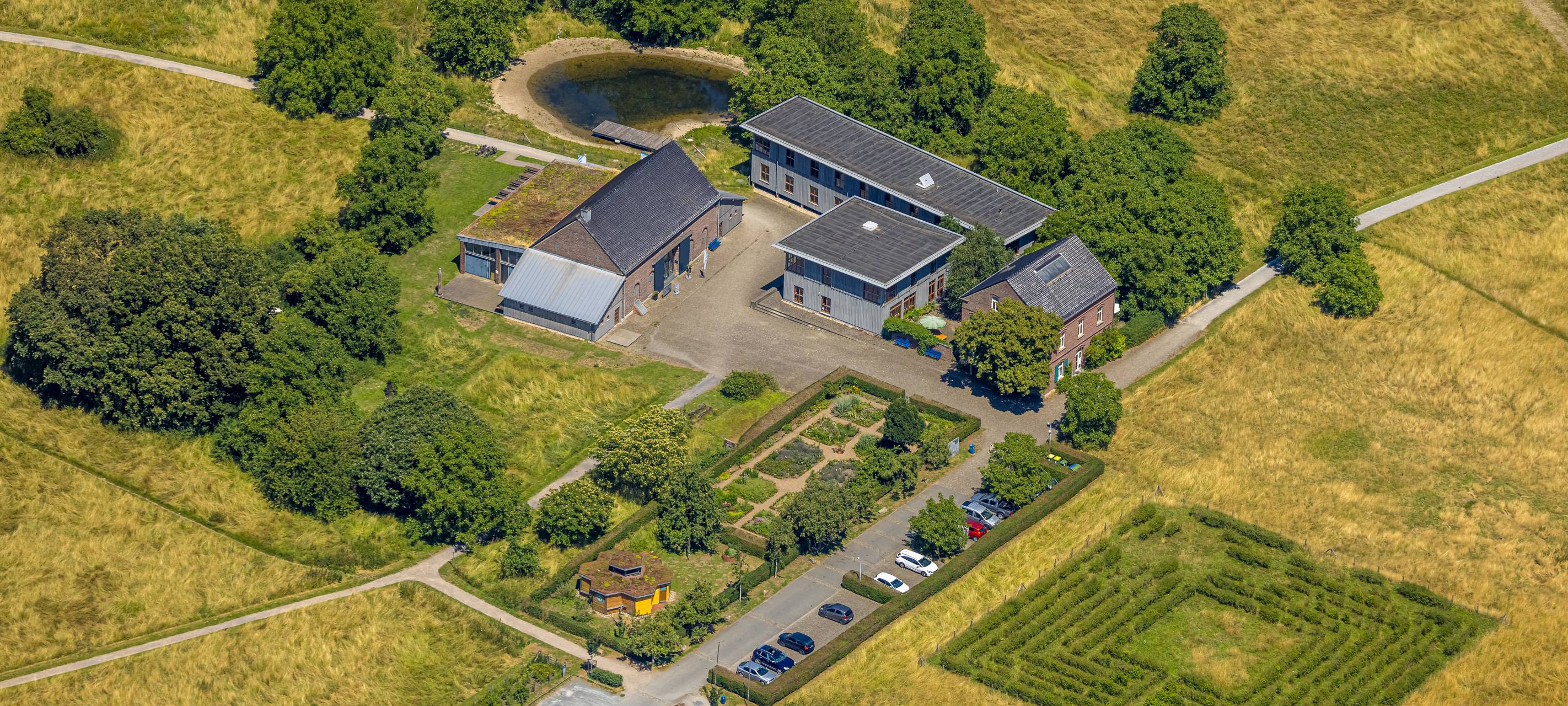 Am Haus Ripshorst muss ein Baum gefällt werden