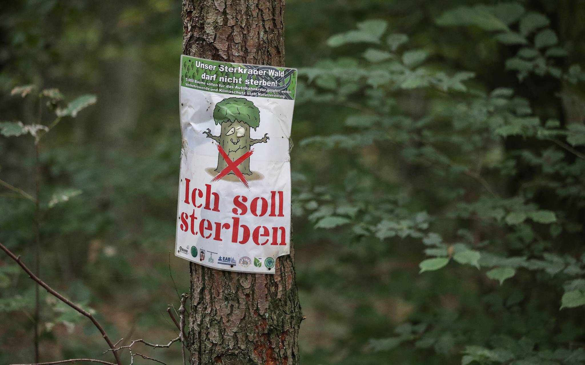 Oberhausen: Mahnwache fordert Erhalt von Wald