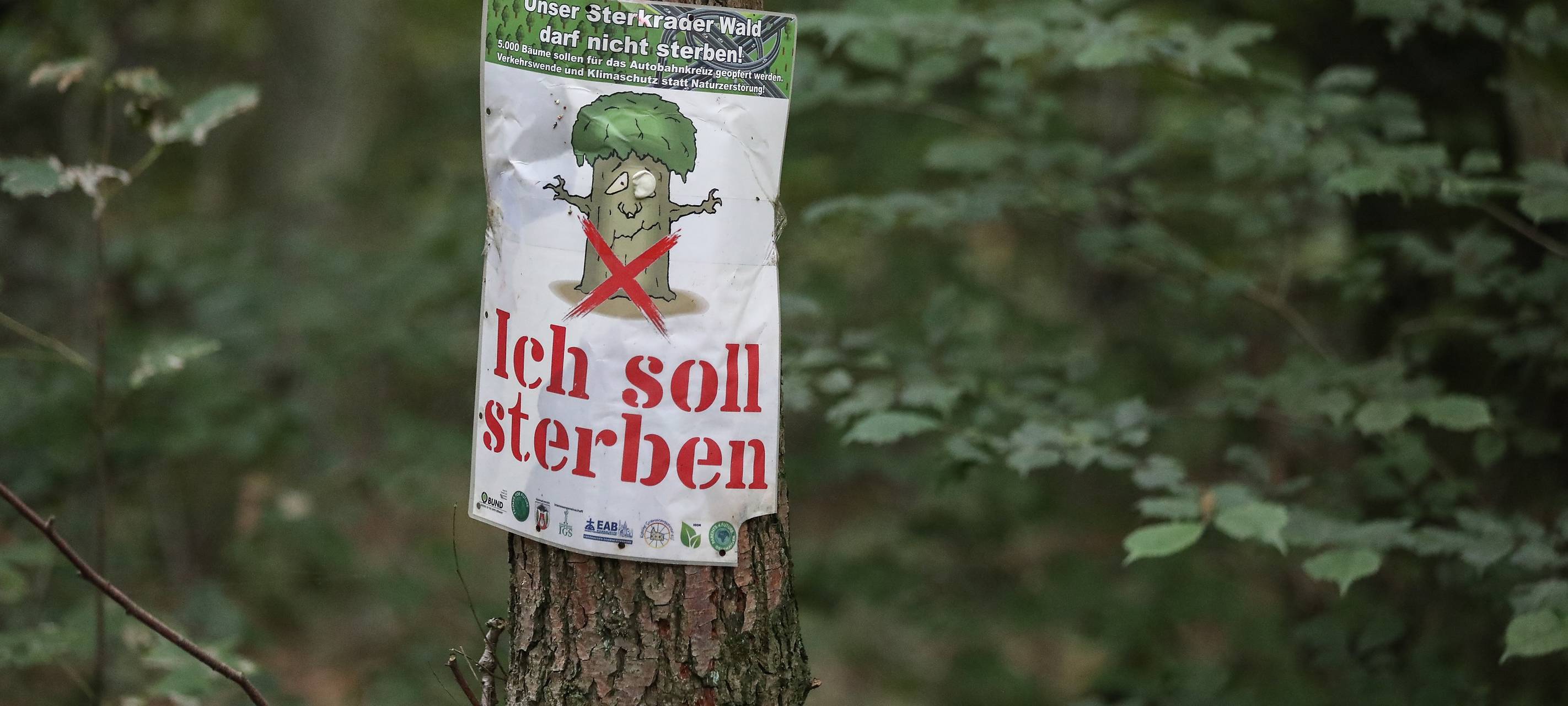 Stadt entfernt Protest-Klavier aus Sterkrader Wald