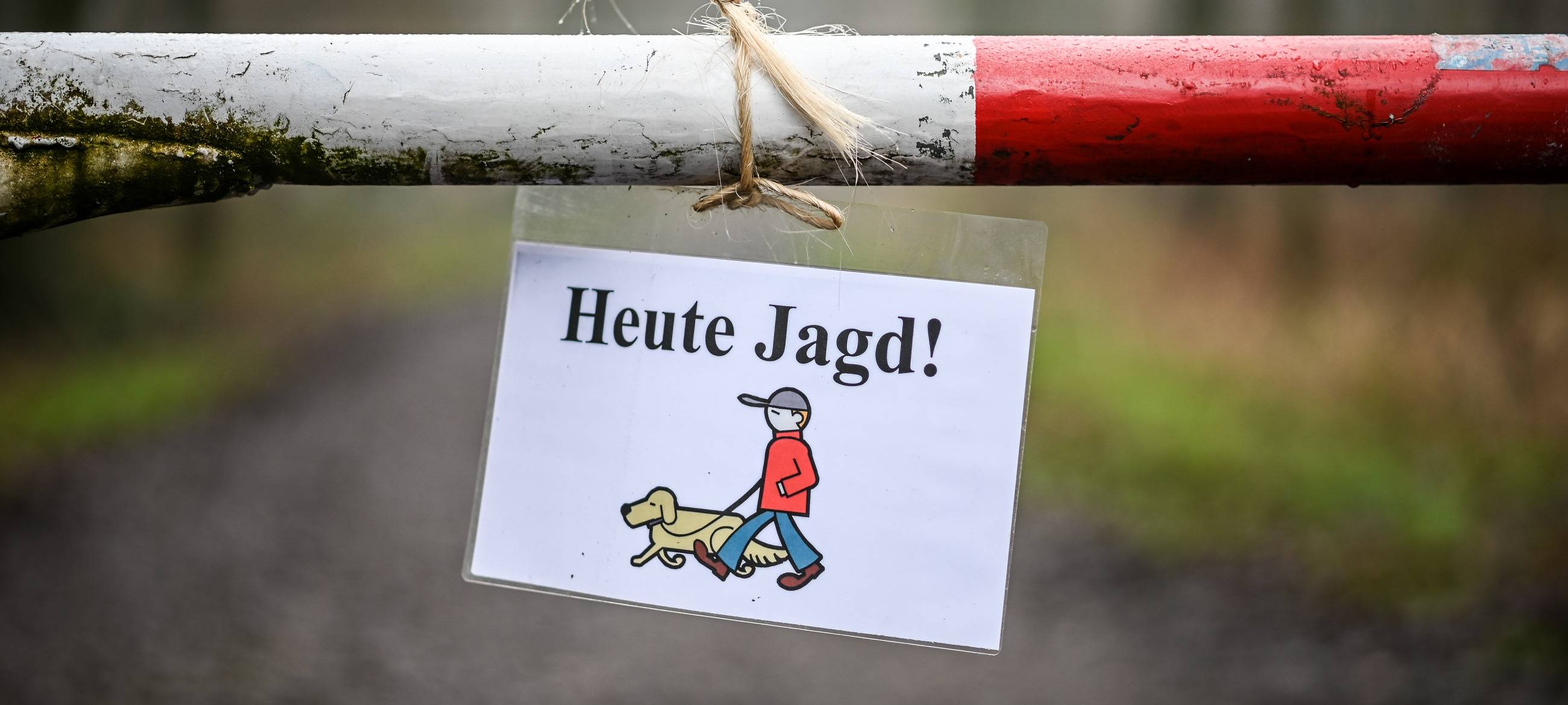 Ermittlungen nach tragischem Tod eines Pferdes