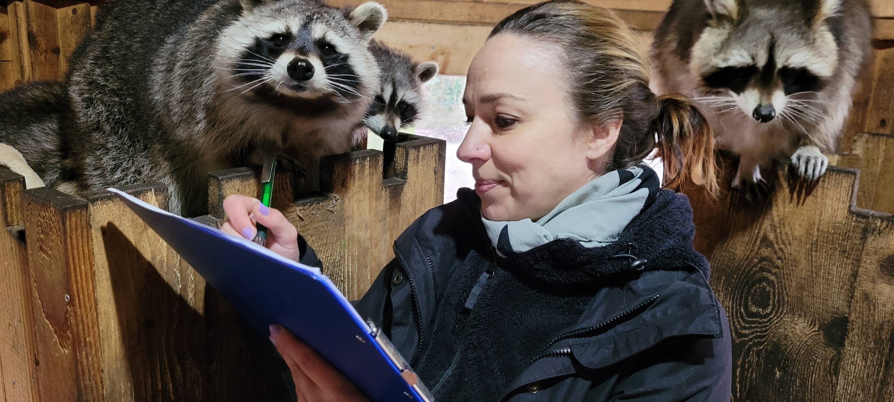 Große Inventur im Tiergehege Kaisergarten