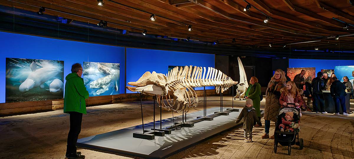 Neue Ausstellung über die Weltmeere öffnet