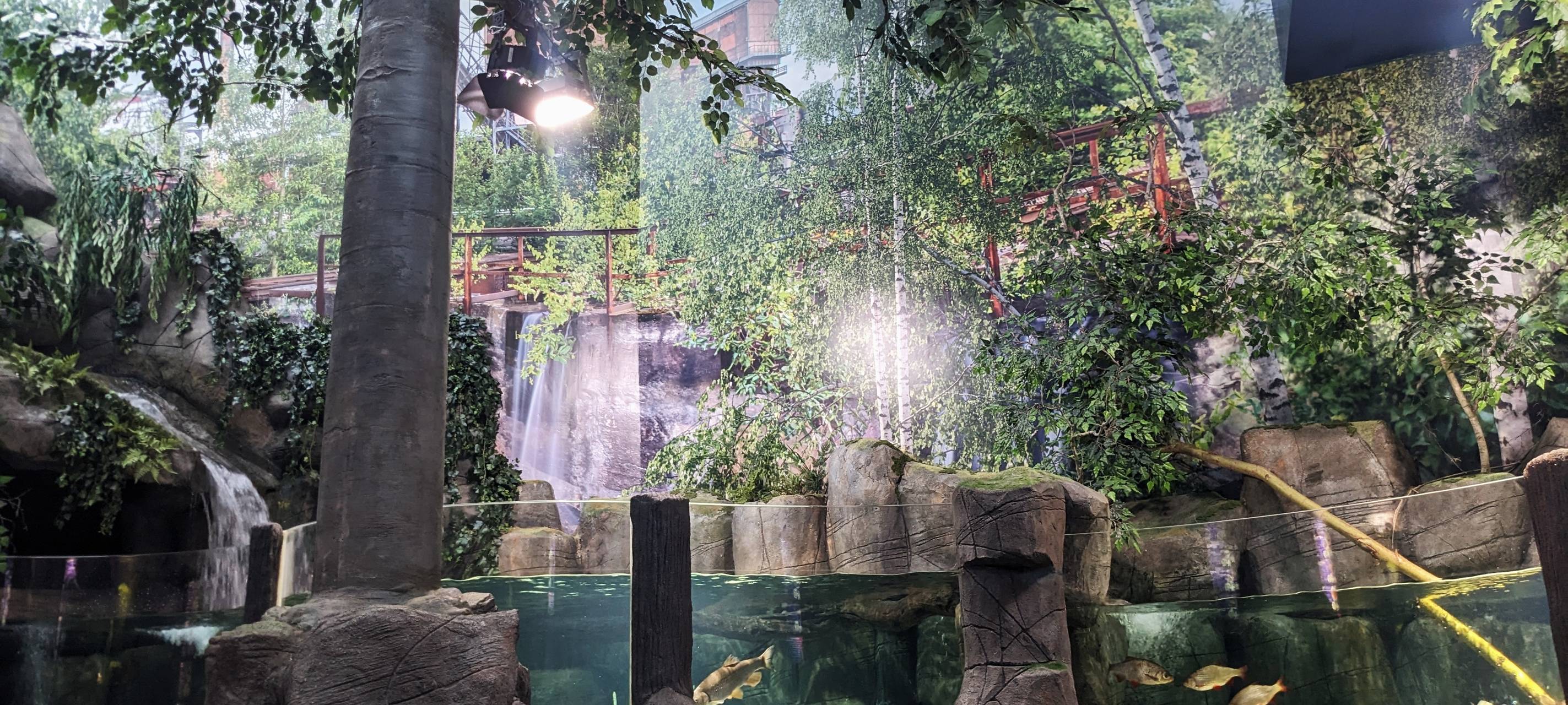 Neues Süßwasserbecken im Sea Life am Start