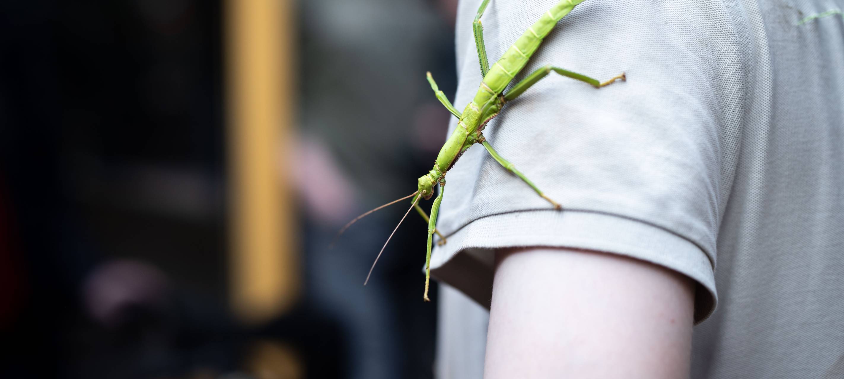 Ruhr.Topcard: Neuer Rekord deutet sich an