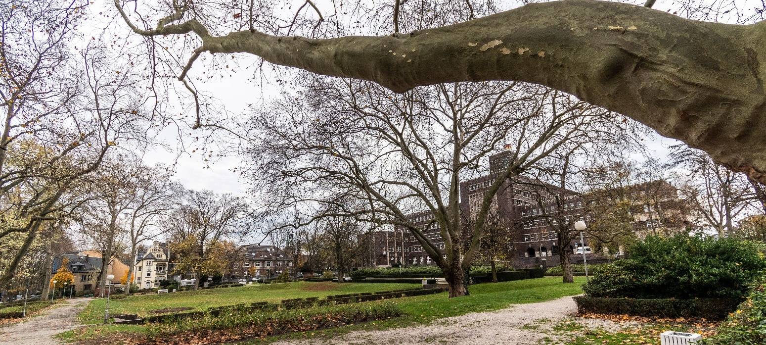 Wege im Grillopark werden saniert