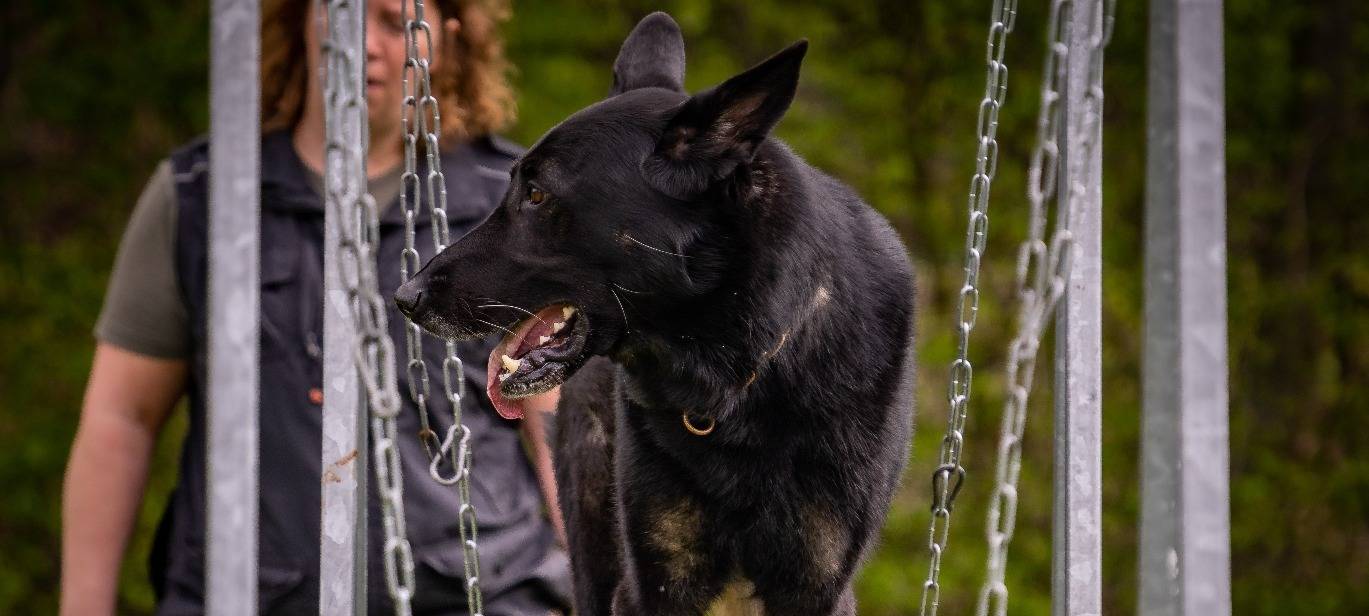 Neue Rettungshundestaffel