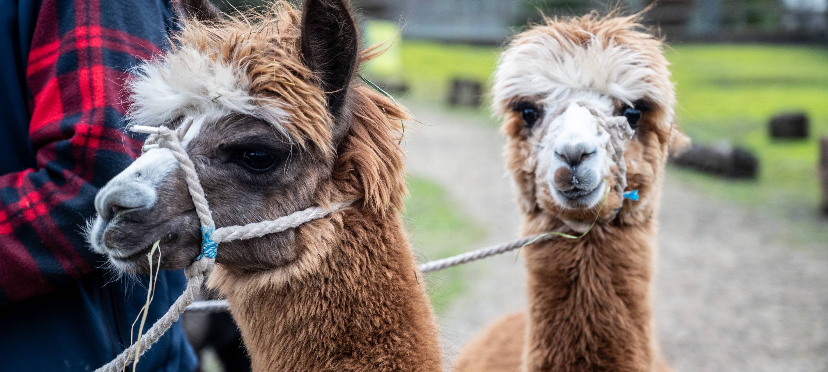 Ausflugstipp gesucht? Die besten Ideen in der Region
