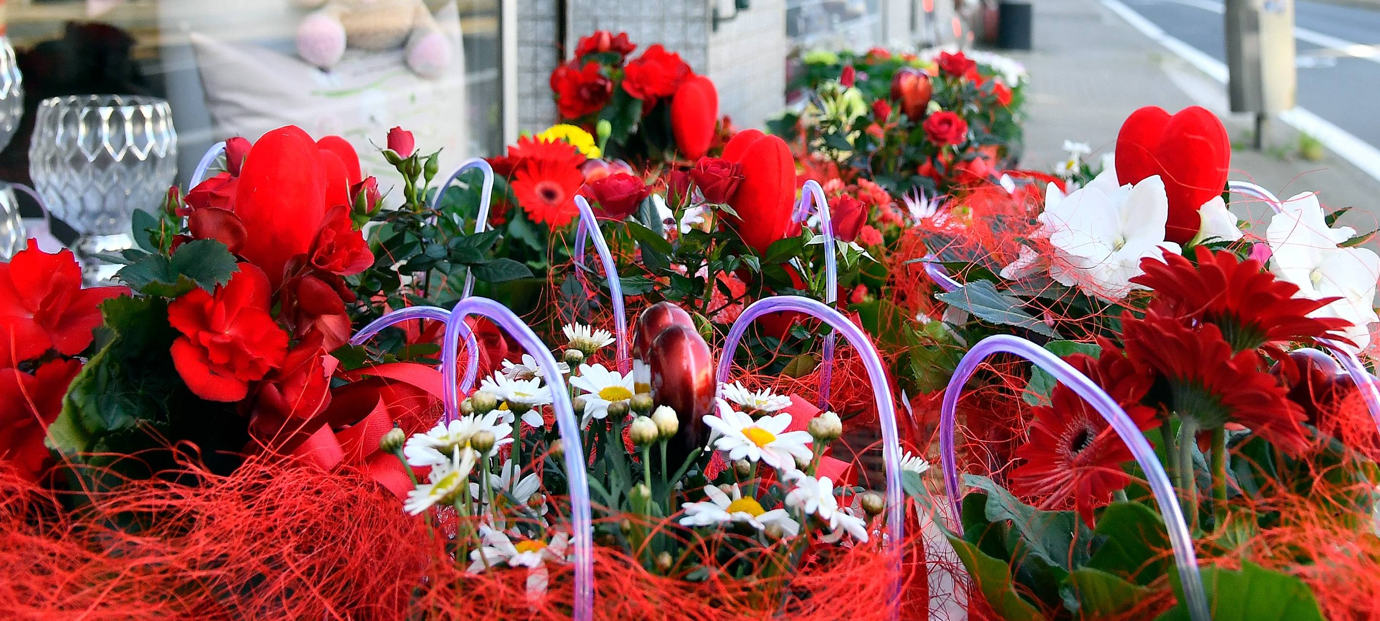 Deutliches Lohn-Plus für Floristen