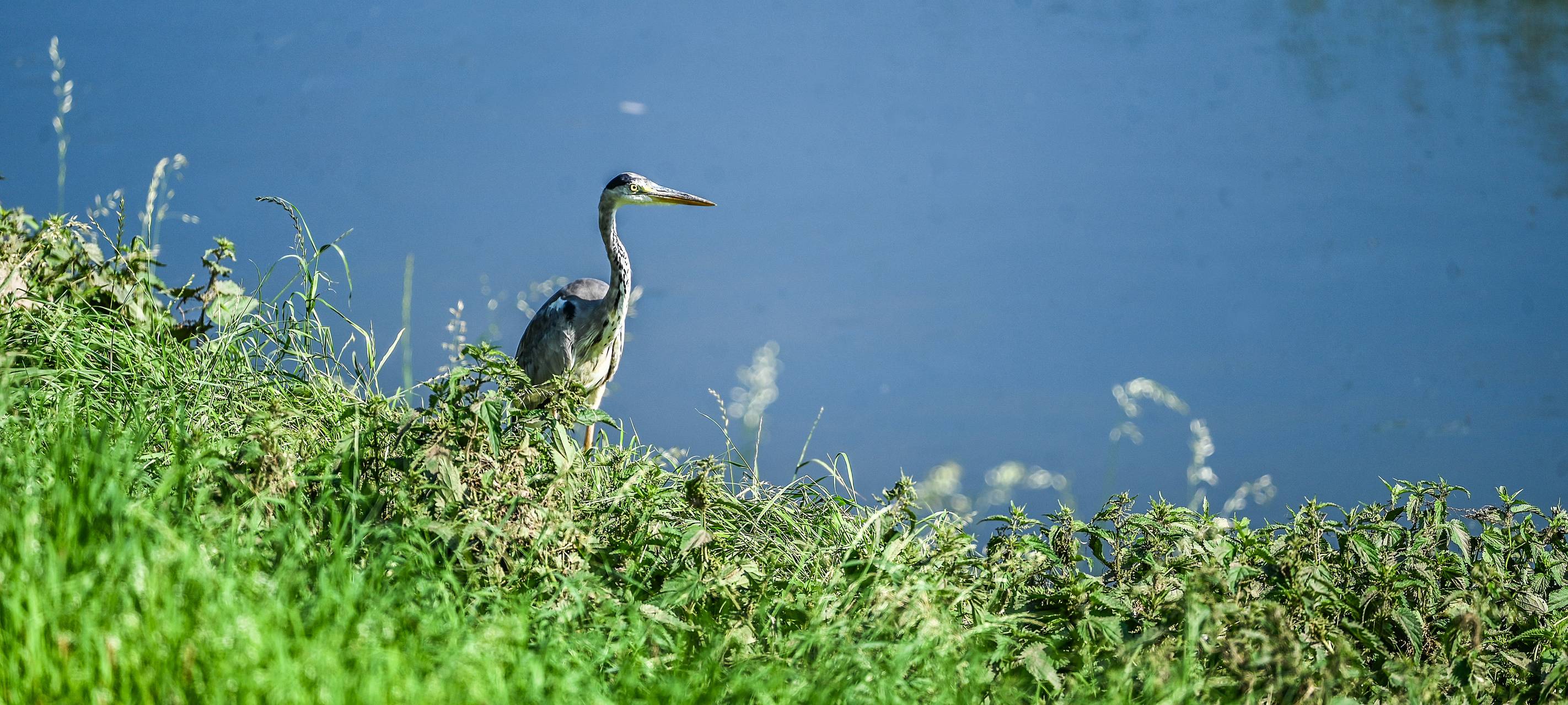 Emscher-Strand im Holtener Bruch nimmt Fahrt auf