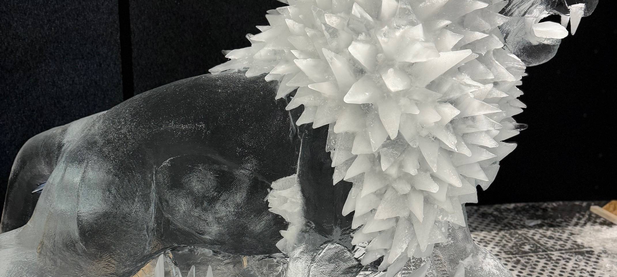 Eiswelt öffnet ihre Türen