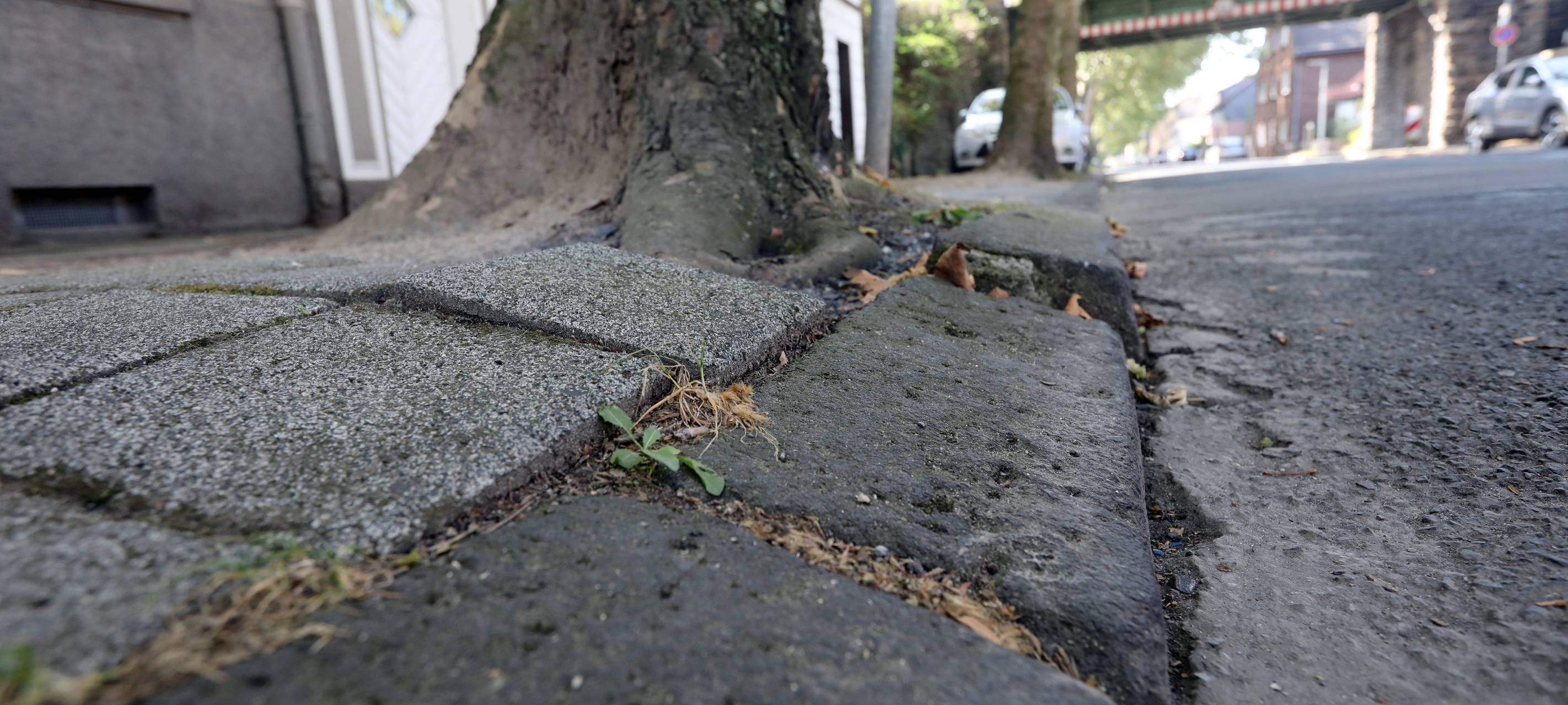 Stadt: Baustart an Wunderstraße nächstes Jahr
