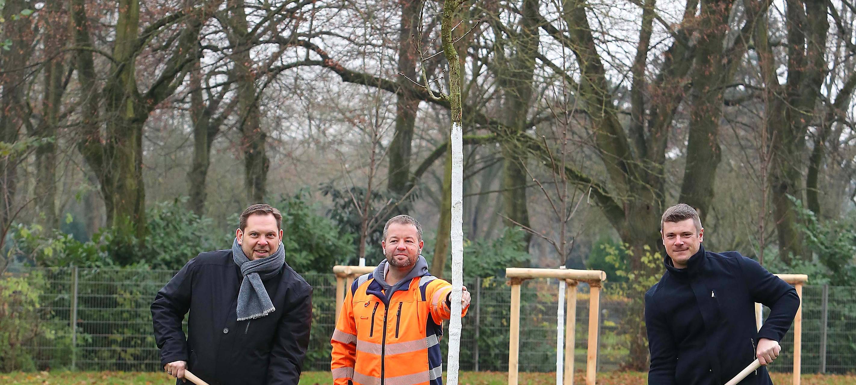 SBO pflanzen 1.000 neue Bäume an