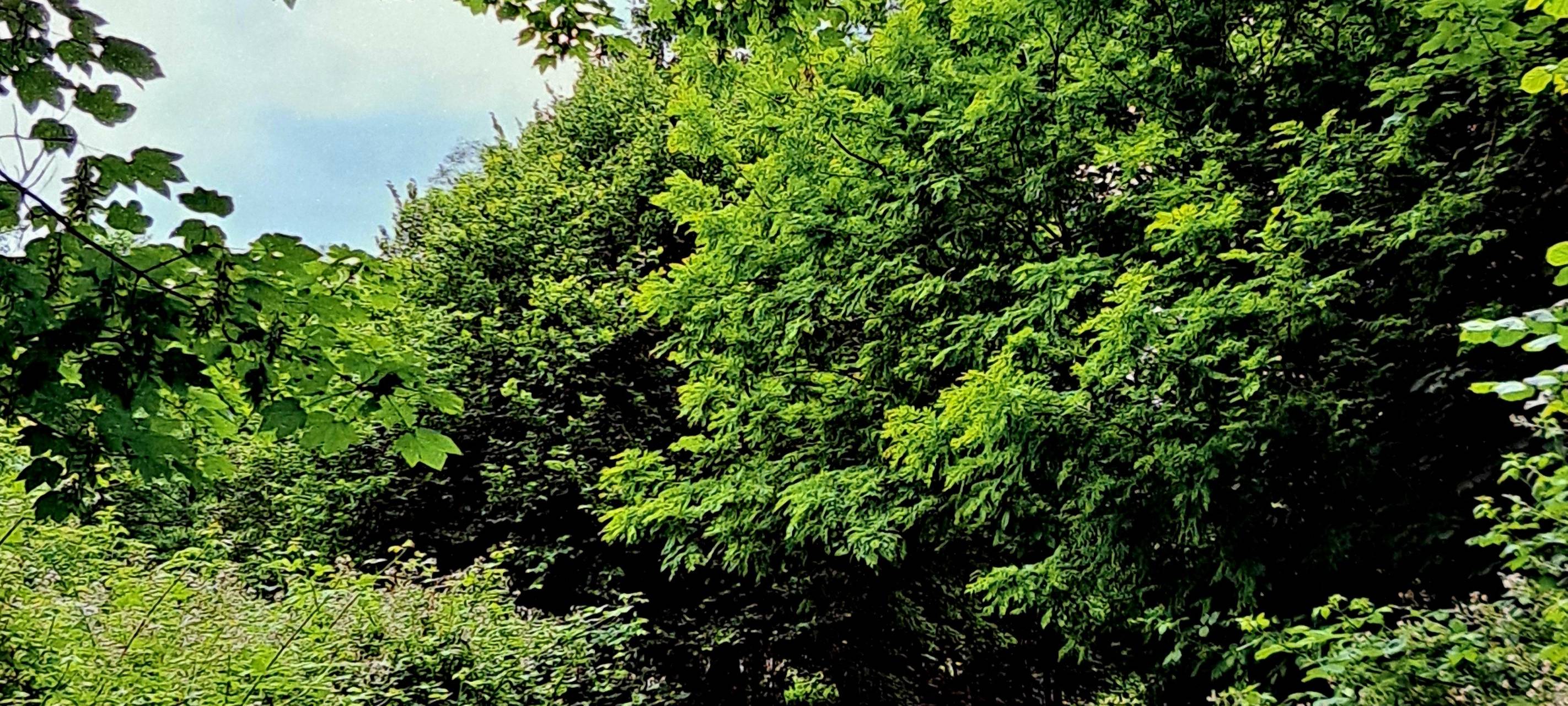 Neue Ausstellung im Haus Ripshorst