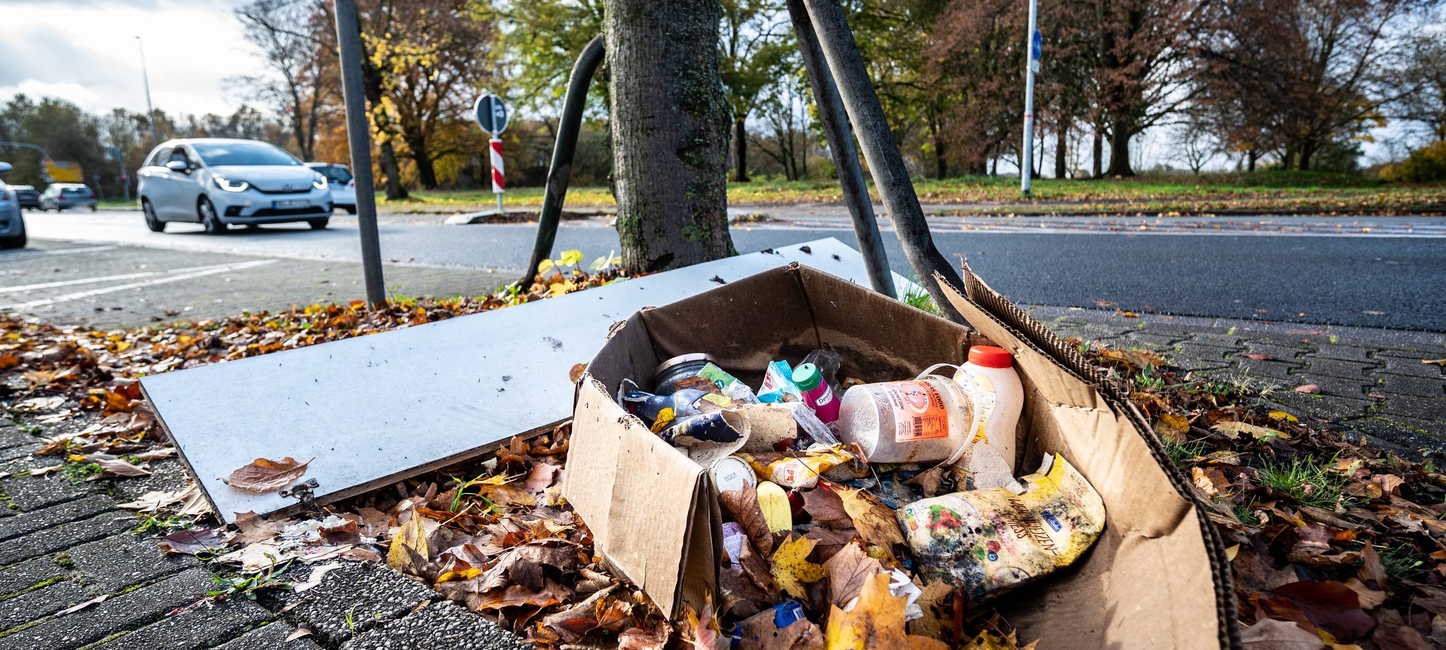 Zahl der wilden Müllkippen steigt