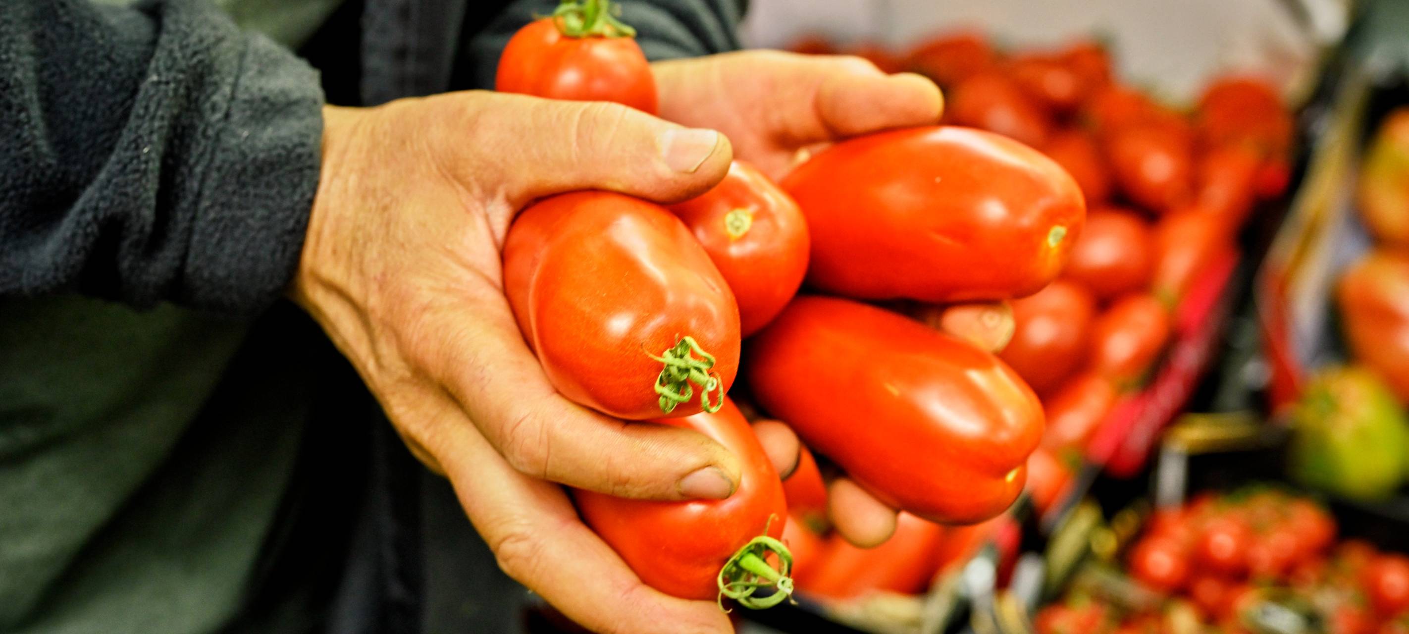 RVR: Saatgutverleih startet