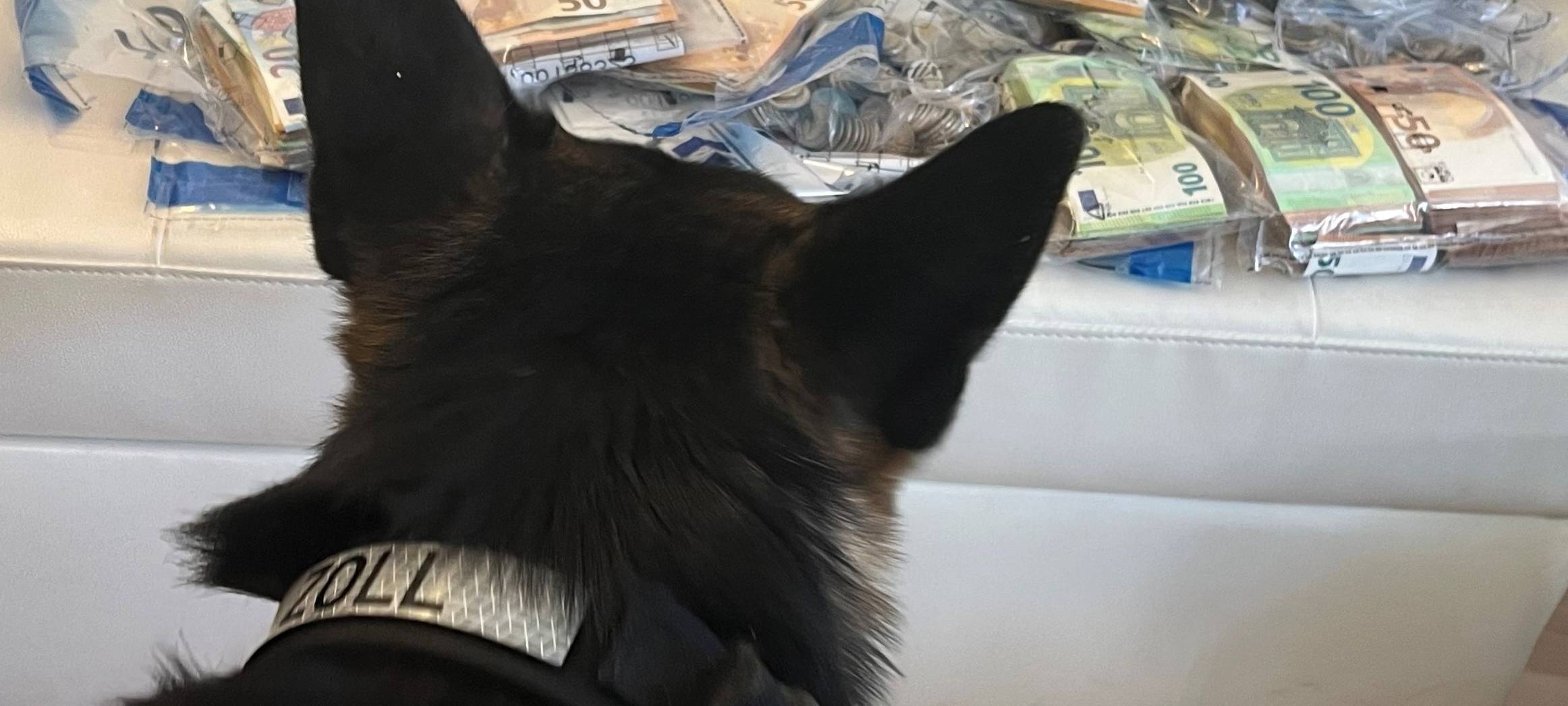 Zoll: Großer Schlag gegen Zigarettenbande gelungen