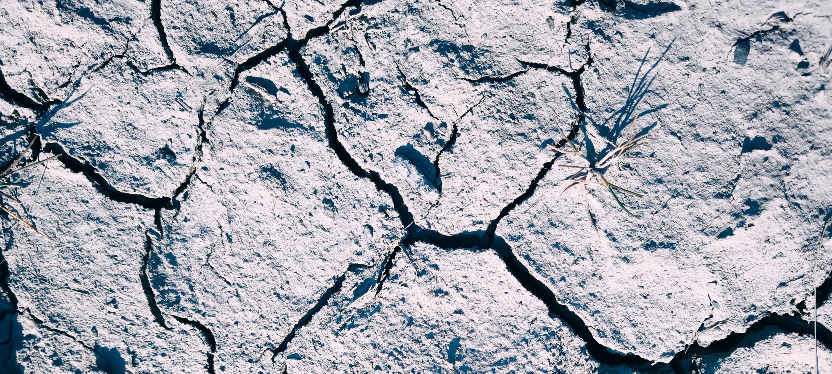 Trockenheit: Warnung vor Waldbränden