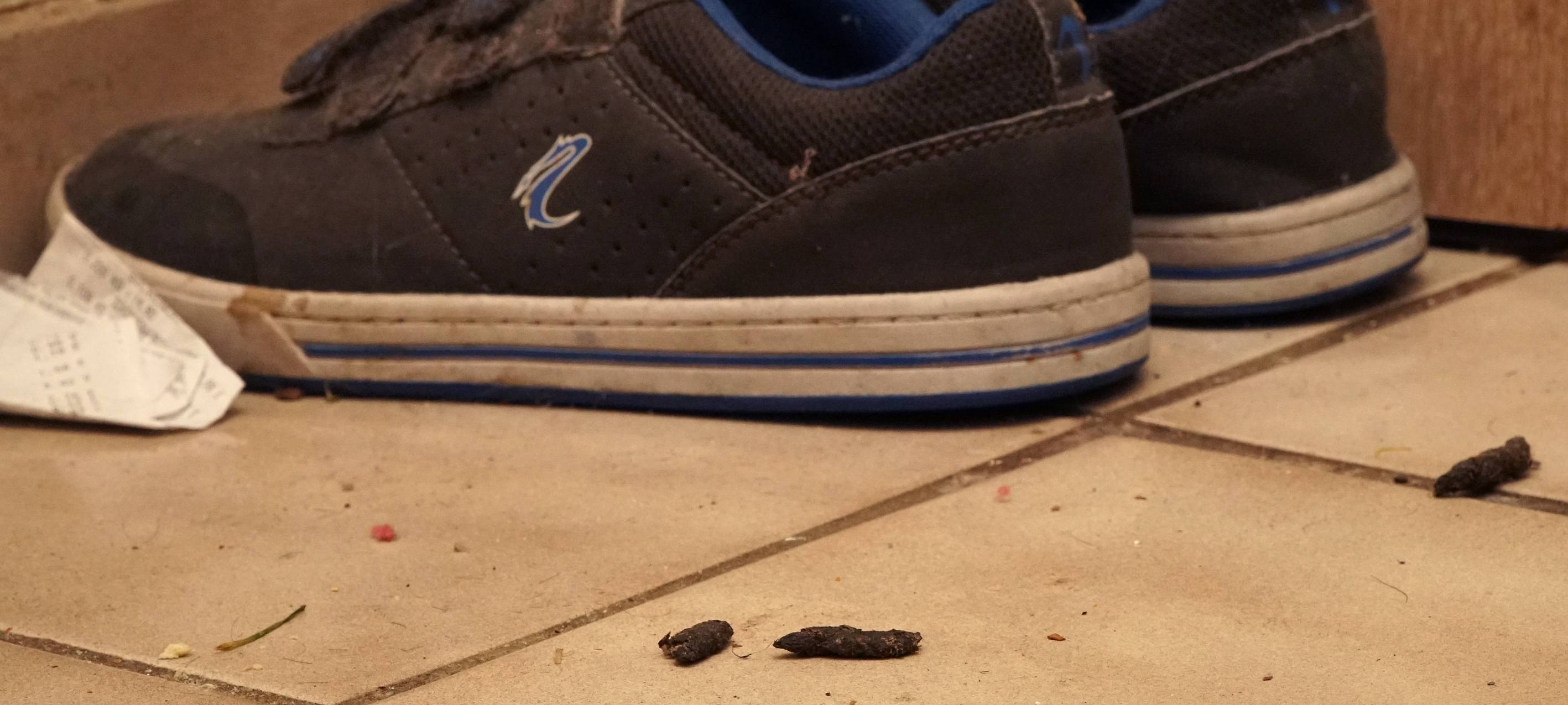 Lebensmitteltransparenz - Oberhausen meidet Portal