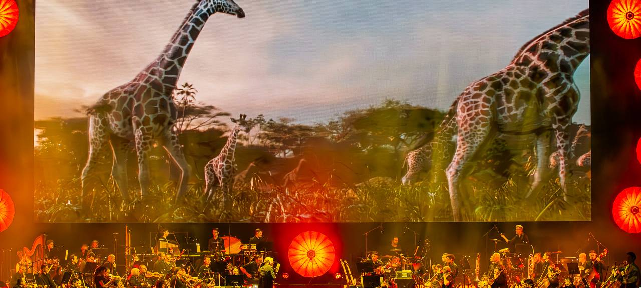 Disney in Concert findet in der Oberhausener Rudolf Weber-ARENA im Mai vor vielen Zuschauern und Fans statt.